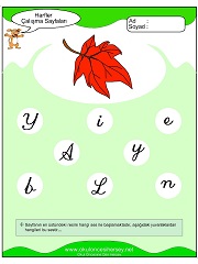 Y Sesi Çalışma Sayfaları